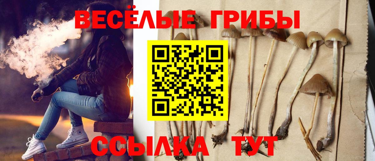 Галлюциногенные грибы ЛСД Кинель