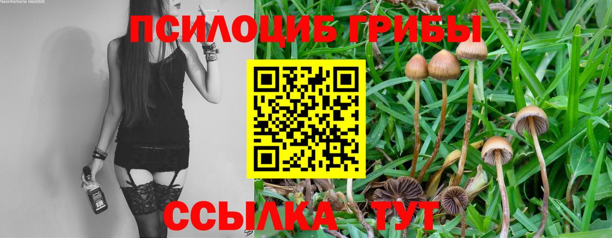 Кинель  Псилоцибиновые грибы MAGIC MUSHROOMS  Галлюциногенные грибы GOLDEN TEACHER  Вход с VPN 
